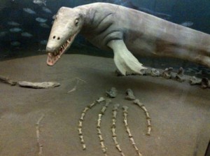Афиша На півночі Техасу знайдено гігантські останки мезозавра онлайн