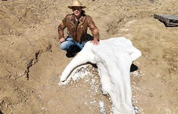 Афиша Полезные советы онлайн: Череп динозавра нашел студент на первых раскопках онлайн