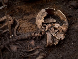 Афиша Древнейший носитель чумы обнаружен при раскопках в Латвии онлайн