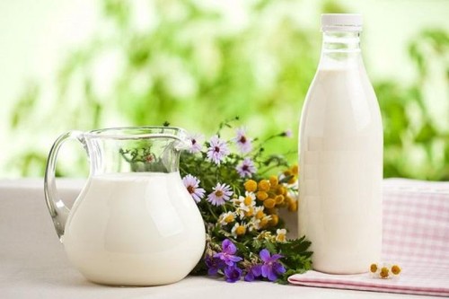 Афиша Красота и здоровье онлайн: Молоко уповільнює розвиток остеоартрозу онлайн
