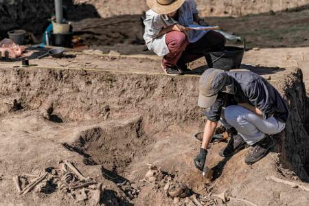 Афиша Музеи онлайн: Новую культуру открыли археологи в Тяньцзине онлайн