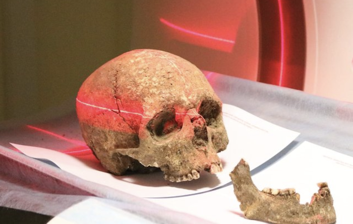 Афиша Музеи онлайн: Череп, знайдений на Тернопільщині, реконструюють німецькі антропологи онлайн