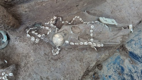 Афиша Музеи онлайн: Комплекс гробниц возрастом 3 тысяч лет нашли археологи в Китае онлайн