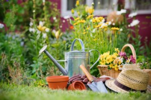 Афиша Покращити психічне здоров'я допоможе садівництво онлайн