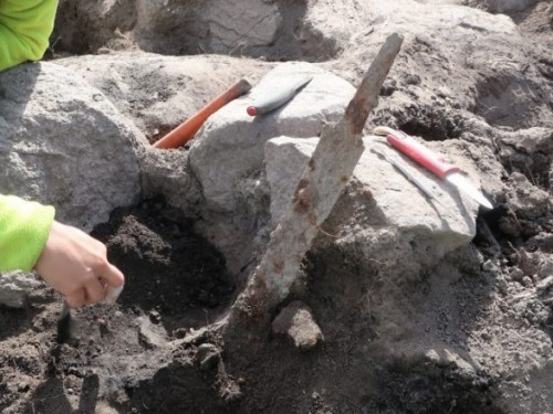 Афиша Музеи онлайн: На старовинному цвинтарі виявлено два мечі епохи вікінгів онлайн