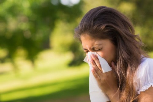 Афиша Красота и здоровье онлайн: Спричинити постійну алергію може зміна клімату онлайн