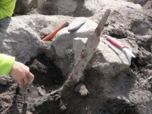 Афиша На старовинному цвинтарі виявлено два мечі епохи вікінгів онлайн