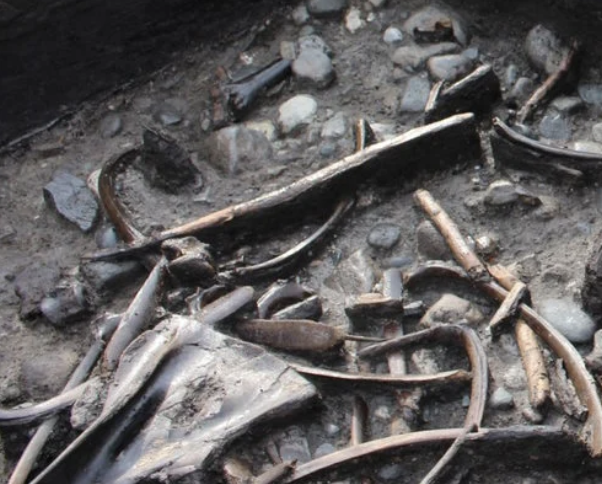 Афиша Музеи онлайн: Озерне поселення середньокам'яної доби розкопали в Англії онлайн