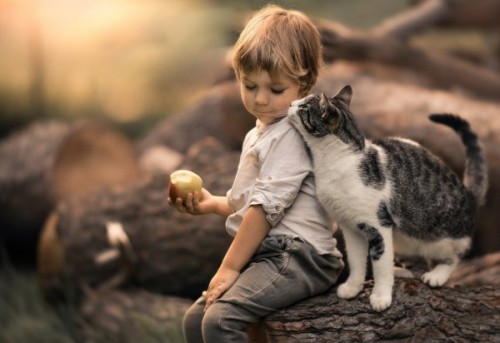 Афиша Красота и здоровье онлайн: Домашні тварини: чи мають вони вплив на здоров'я дітей онлайн