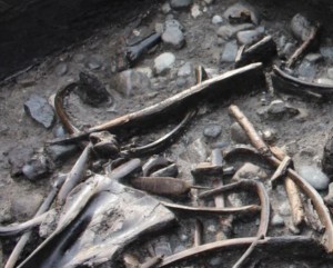 Афиша Озерне поселення середньокам'яної доби розкопали в Англії онлайн